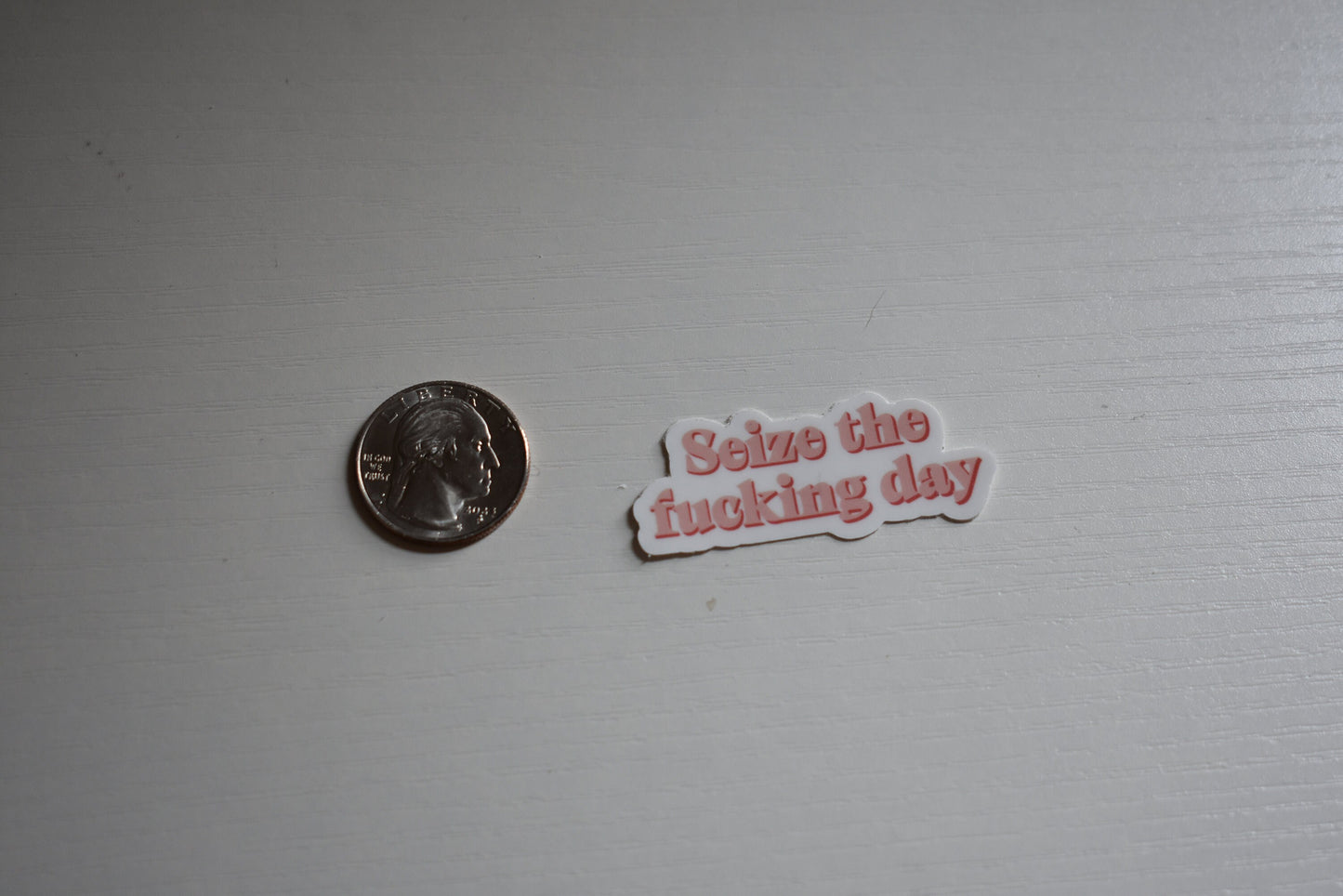 Seize the F*cking Day Sticker, Vinyl Laptop Waterbottle Sticker, Explicit Sticker, Funny Inspiration