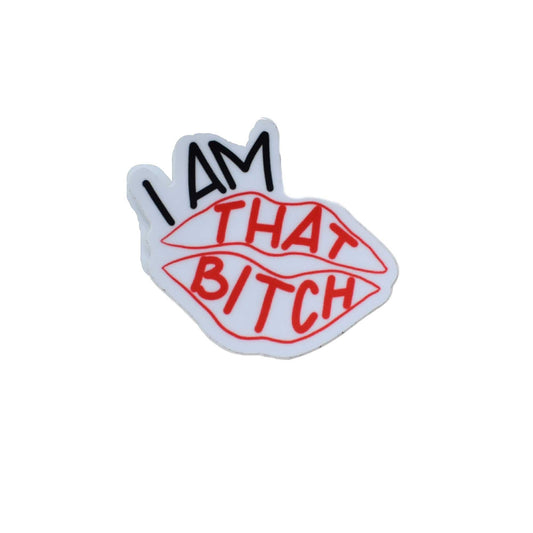 I am that Bitch Sticker, Blunt Sticker, Explicit Sticker,  Waterbottle laptop Sticker, Gay Pride Merch, Gay Pride Month