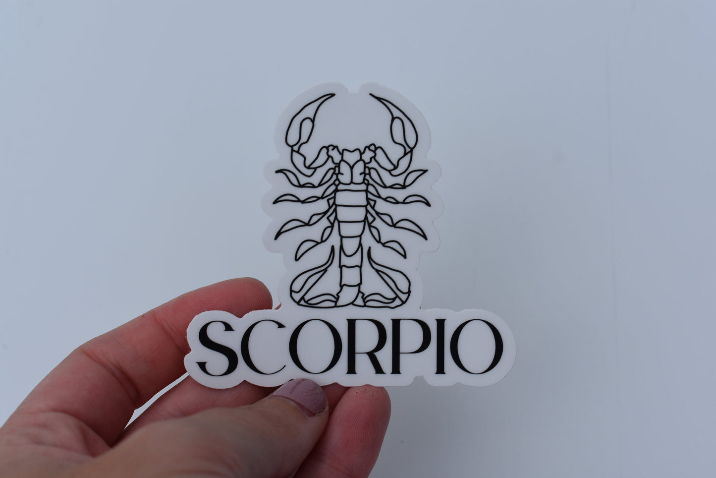 Scorpio Line drawn astrology sticker, Simple Zodiac sign sticker, Laptop sticker, Waterbottle sticker, Vinyl sticker