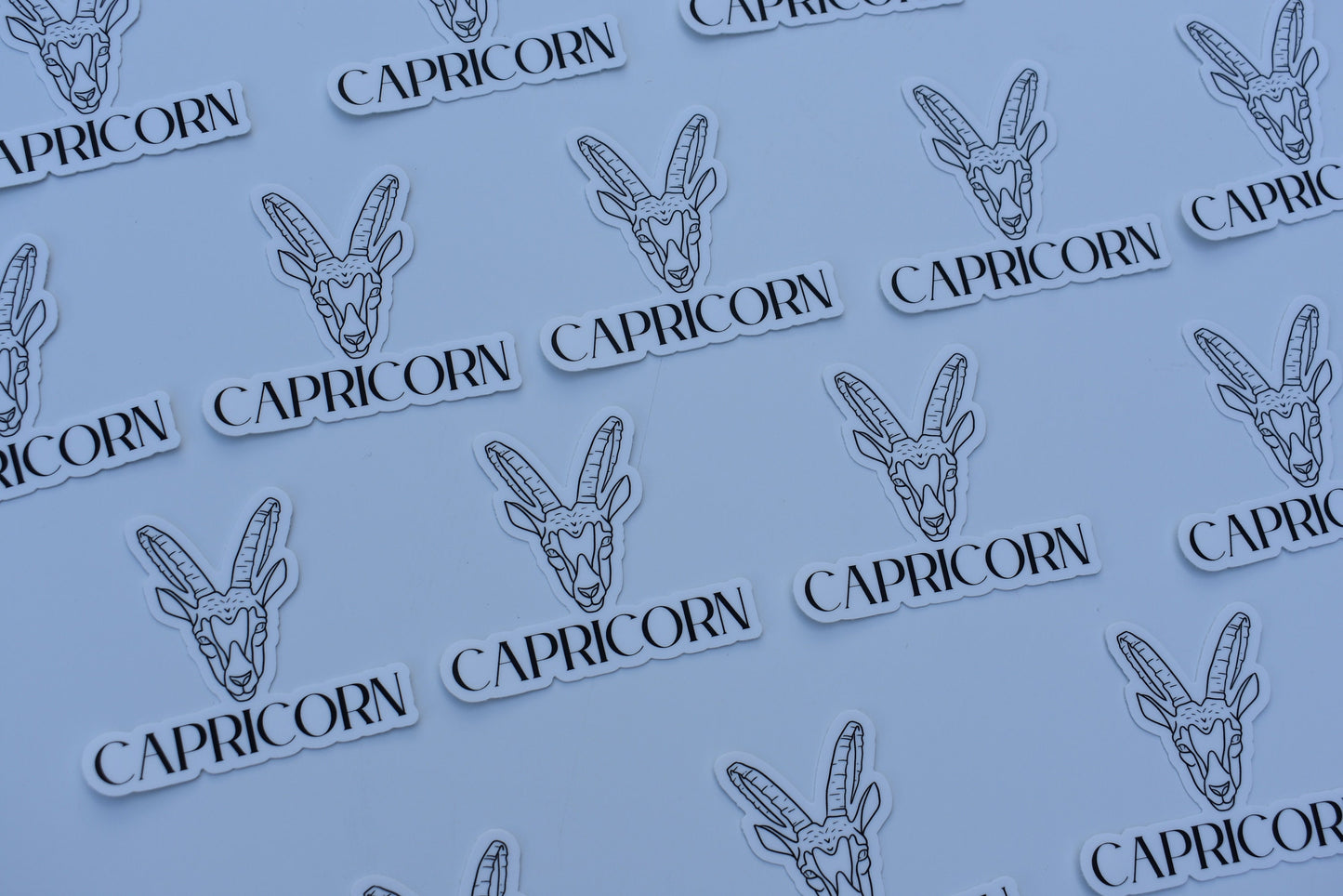 Capricorn Line drawn astrology sticker, Simple Zodiac sign sticker, Laptop sticker, Waterbottle sticker, Vinyl sticker