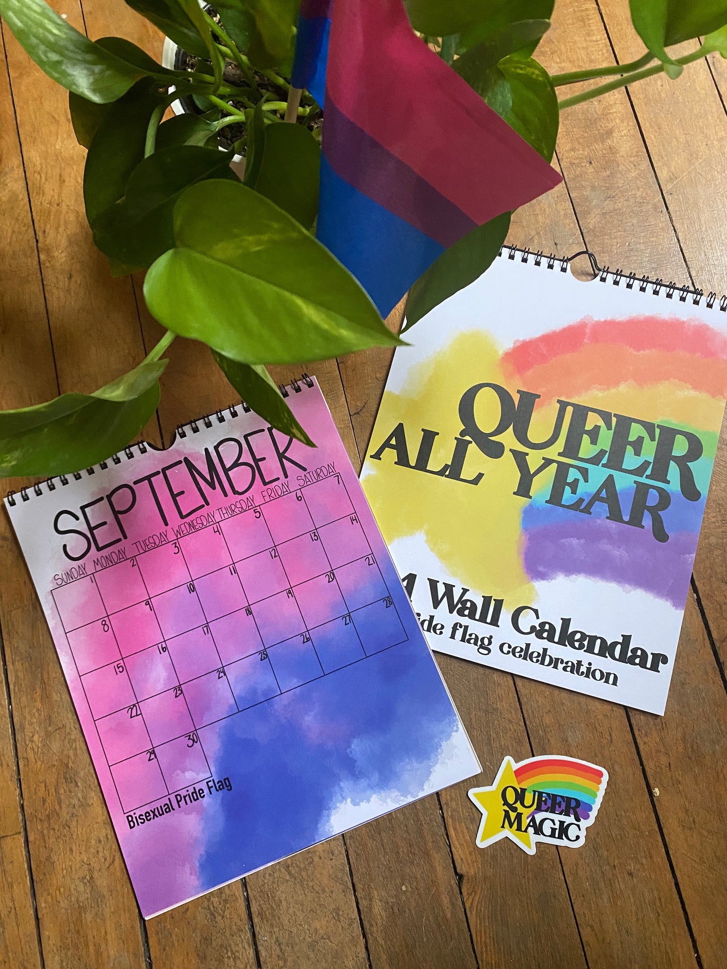 Queer All Year, 2024 12 Month Wall Calendar,  Celebrating Pride Flag colors, Gay calendar, Queer Gifts, Gifts for Pride, 2024 Pride Calendar